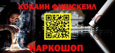 дмт Кингисепп