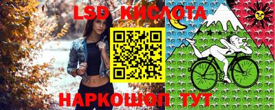 дмт Кингисепп