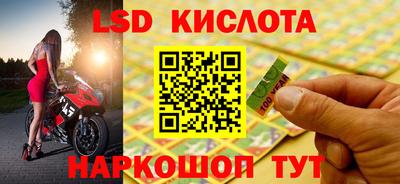 дмт Кингисепп