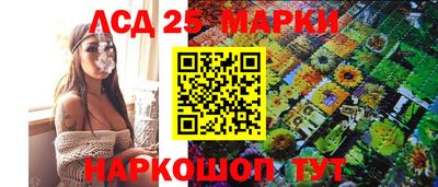 дмт Кингисепп
