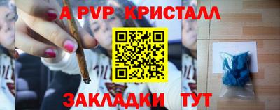 дмт Кингисепп