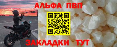 дмт Кингисепп