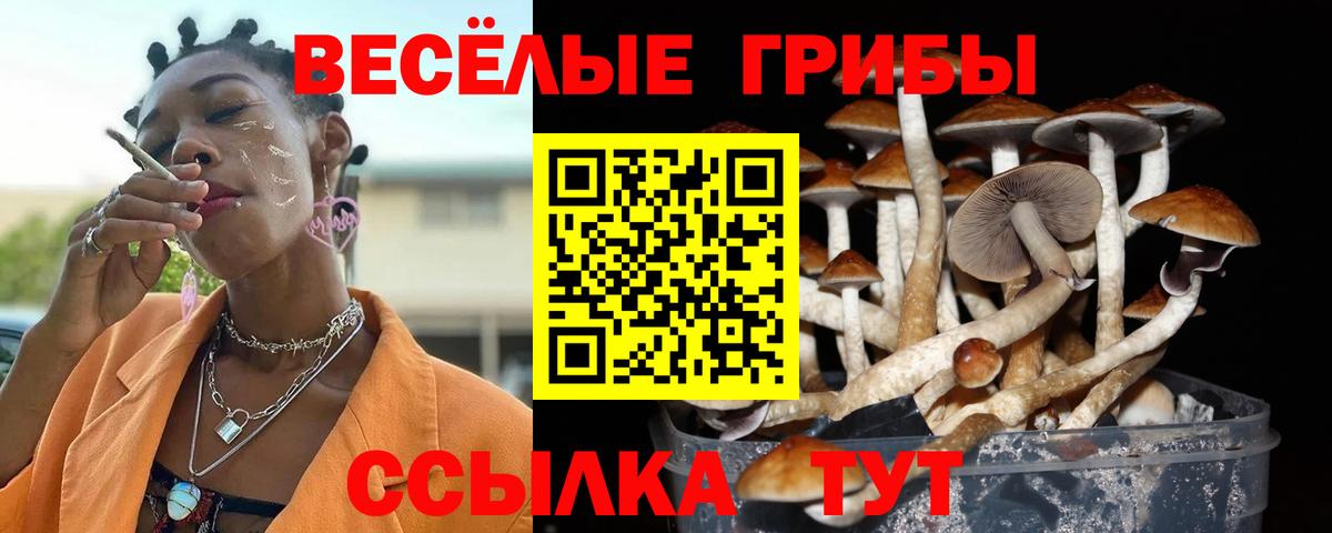 Кондопога  Псилоцибиновые грибы GOLDEN TEACHER  Вход с VPN 